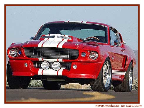 Shelby Mustang Eleanor Super Snake