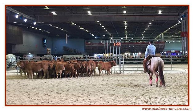 Madness US au Salon du Cheval 2017