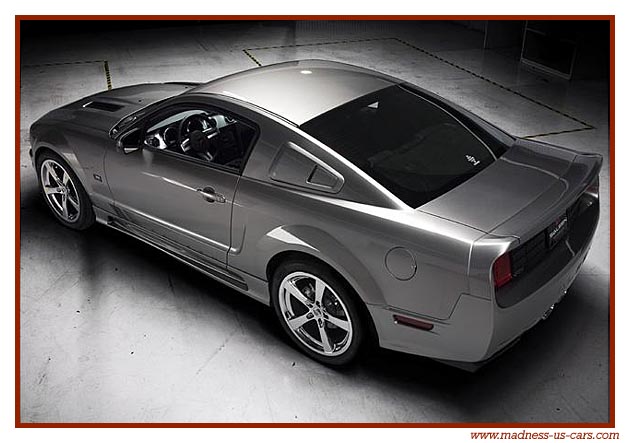 Saleen S302 Exteme 2008