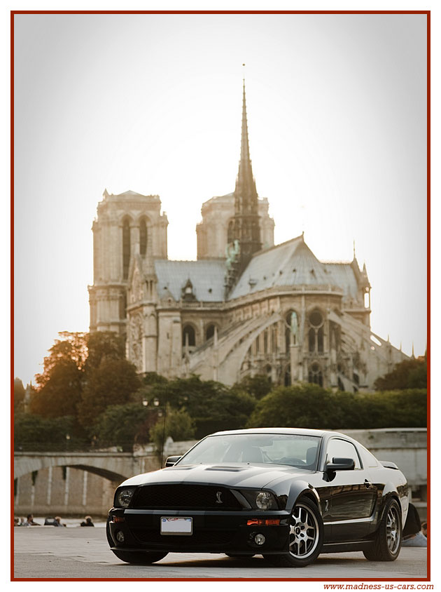 Une Shelby Madness US sur les pistes