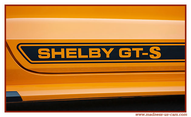 Shelby GT-S Sixt 2019