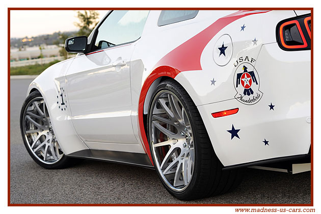 Thunderbirds Ford Mustang 2014