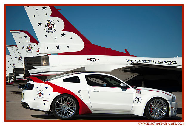 Thunderbirds Ford Mustang 2014