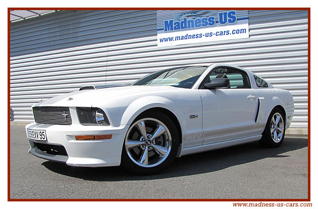 Mustang Shelby GT 2007